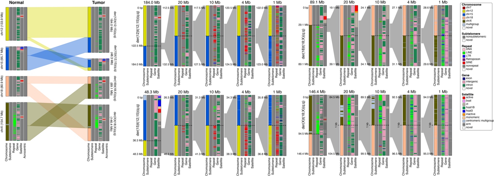 KaryoScope visualization of two reciprocal translocations
