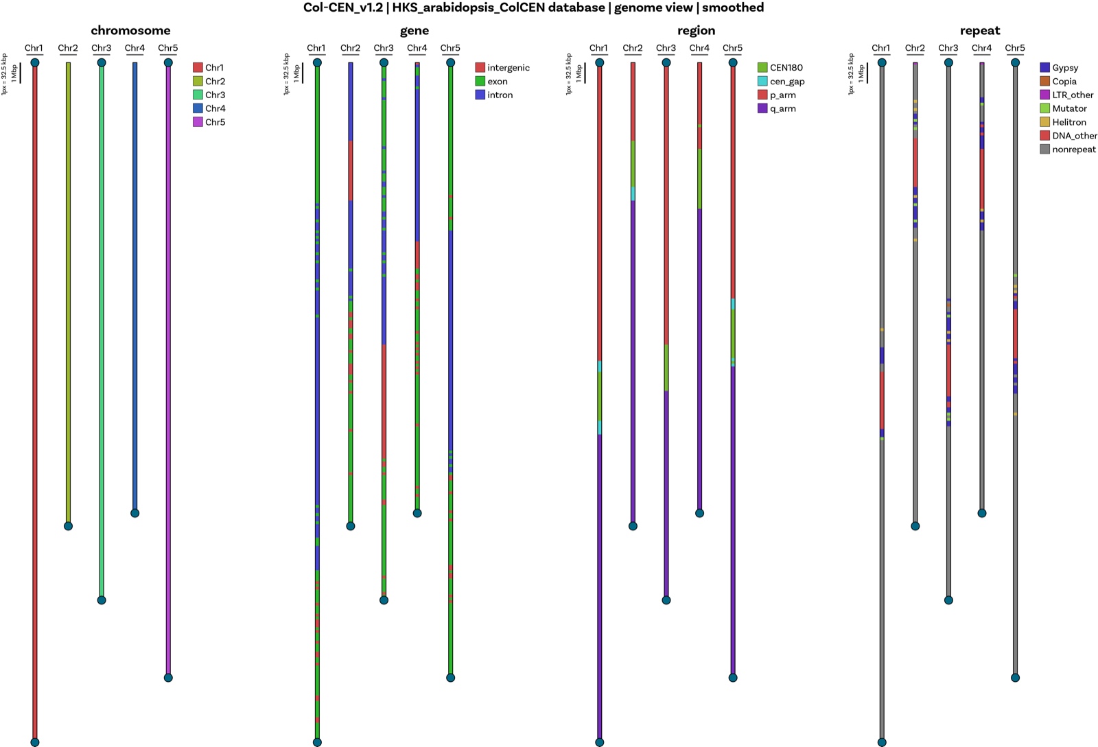 KaryoScope annotation for the arabidopsis genome shown across four feature sets