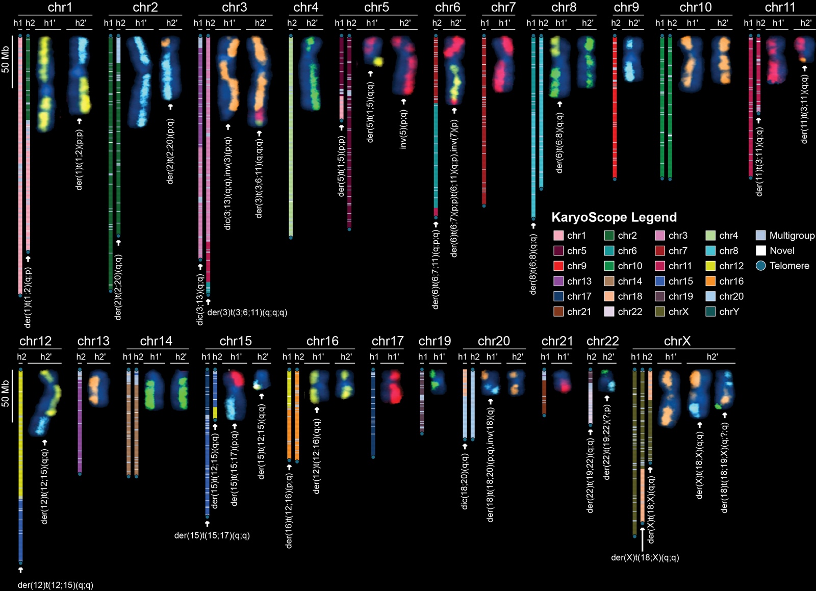 KaryoScope karyotype of the HG008 pancreatic tumor assembly, with each chromosome shown as a track colored by chromosome of origin, revealing derivative chromosomes from reciprocal translocations, dicentric chromosomes, and chromoplexy-like patterns.