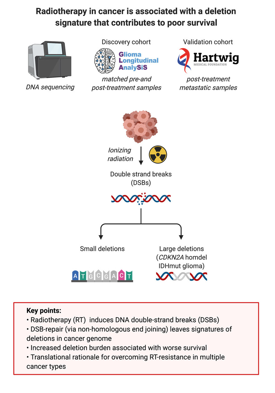 Graphical abstract