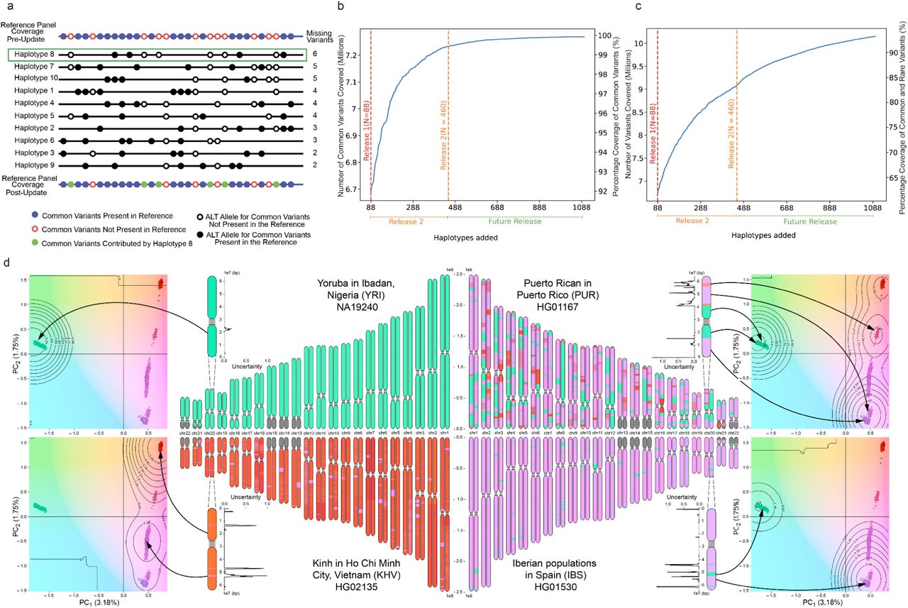 HPRC2: A human pangenome reference with near-complete coverage of common genetic variation